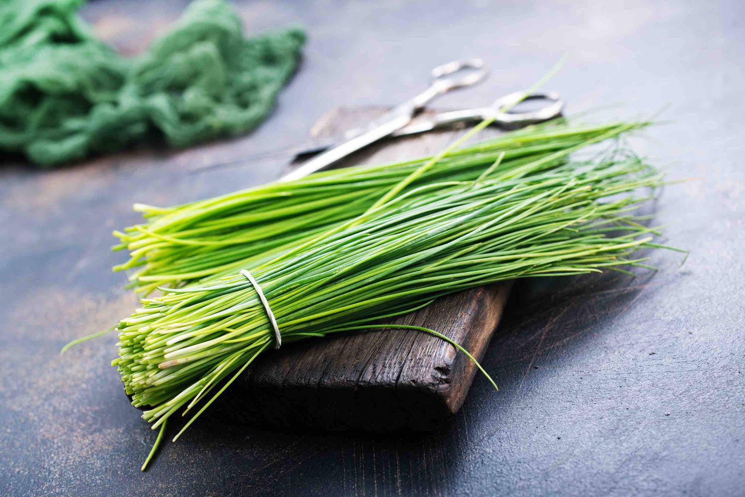 Chive Seeds