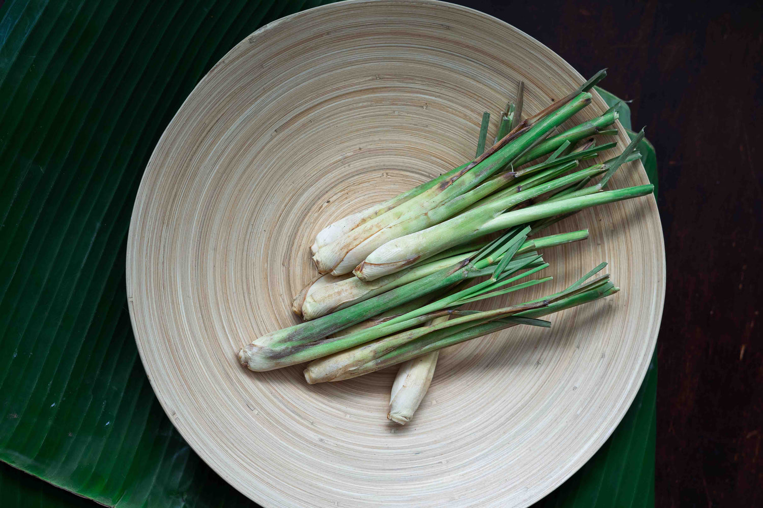 Lemongrass Seeds