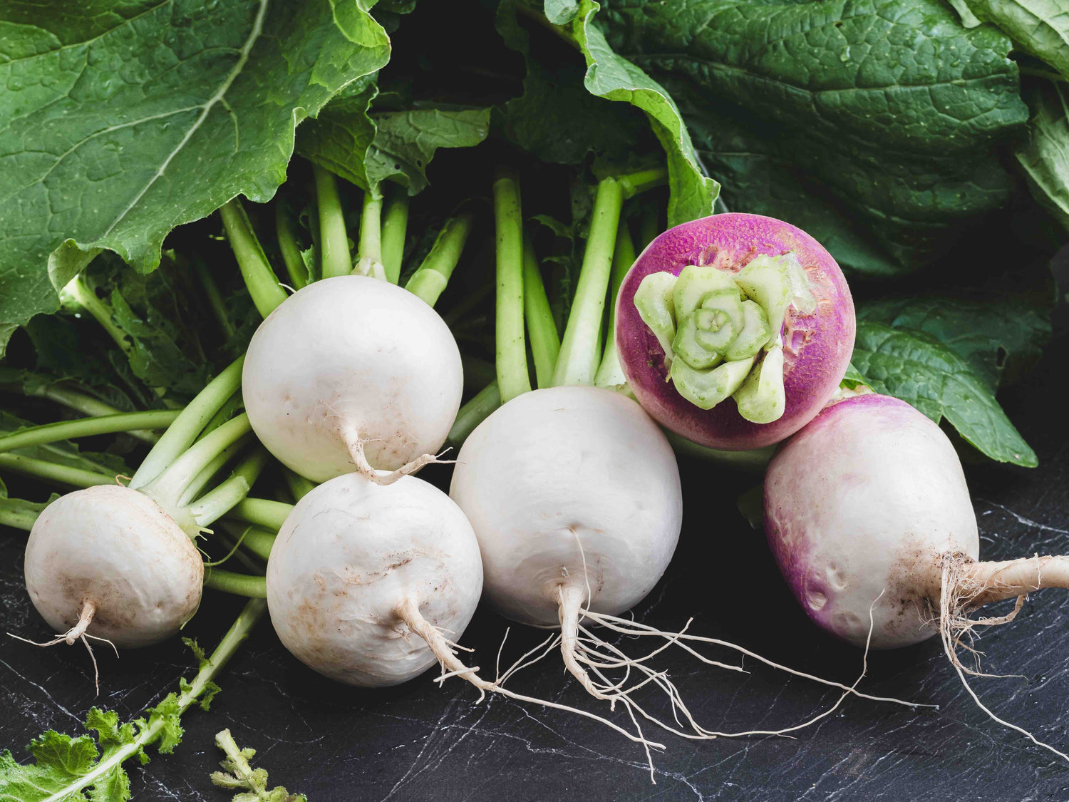 Turnip Seeds